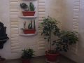 DSC00053.jpg